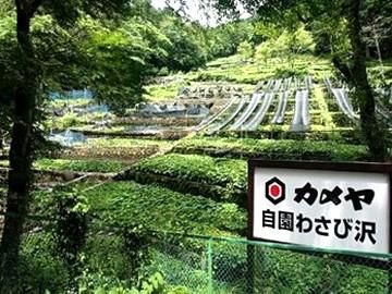 カメヤ食品株式会社(営業センター)のアルバイト・バイト求人情報-02