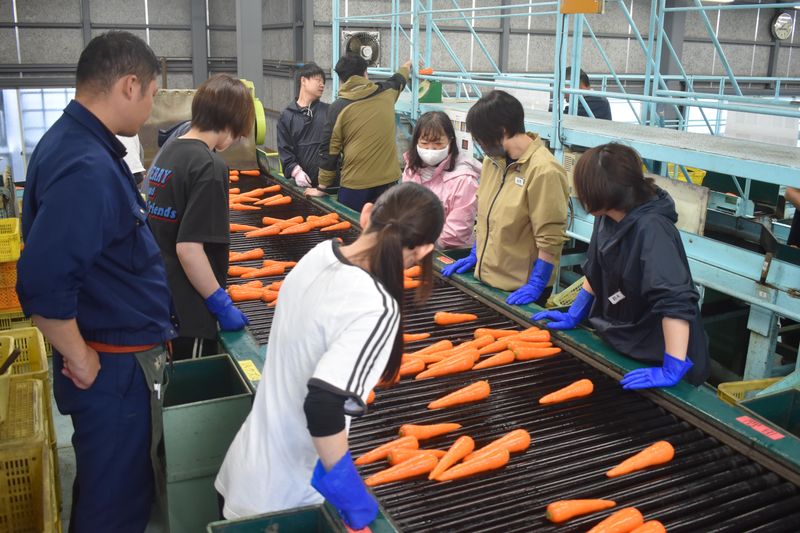 函館市亀田農業協同組合のアルバイト・バイト求人情報-01