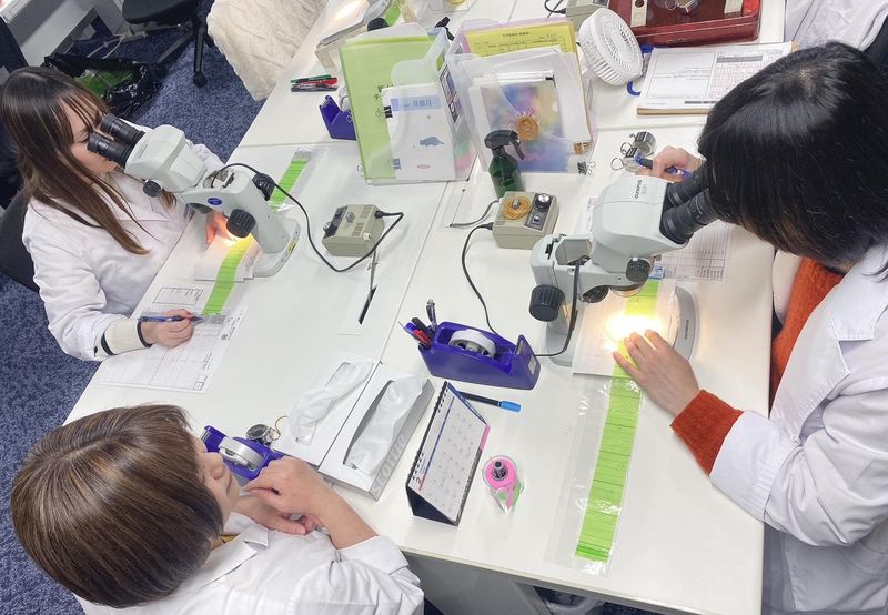 イカリ消毒株式会社　科学分析グループのアルバイト・バイト求人情報-02