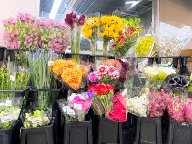 株式会社Japan Flower Trading