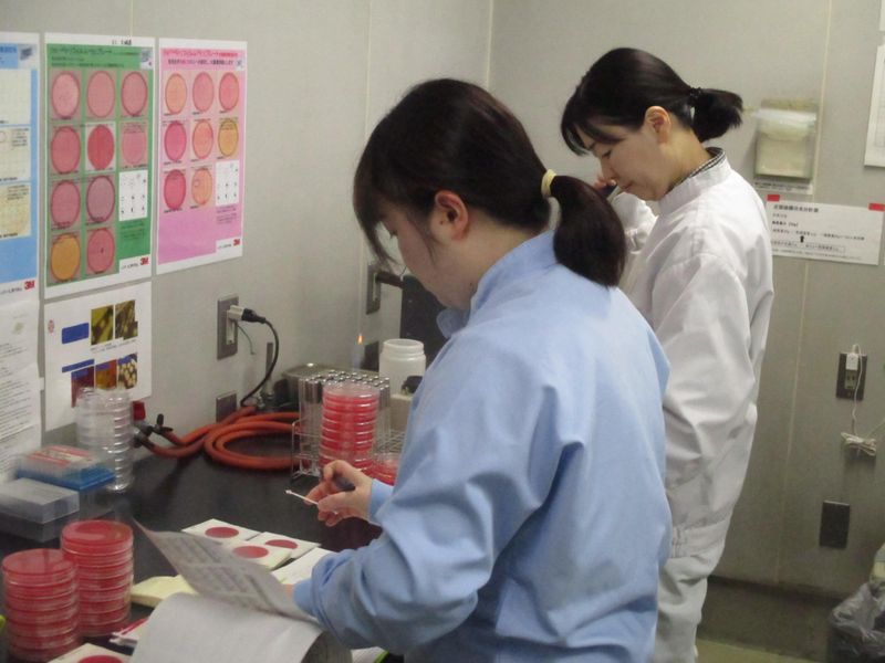 セントラル製麺株式会社の求人・転職情報