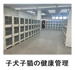 株式会社ひごペットフレンドリーの求人・転職情報