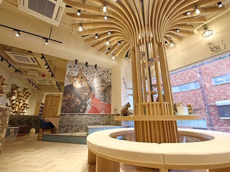 Coo&RIKU(クーアンドリク)　三軒茶屋店のアルバイト・バイト求人情報-06