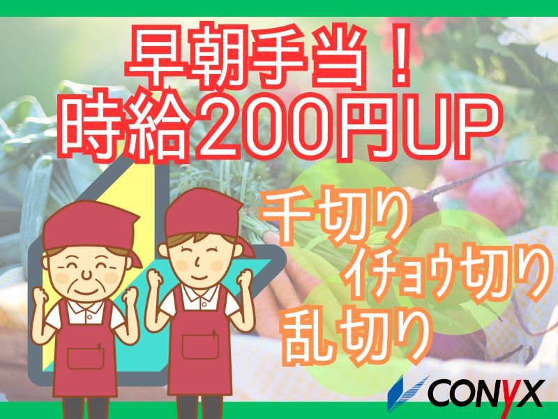 コニックス株式会社の求人・転職情報