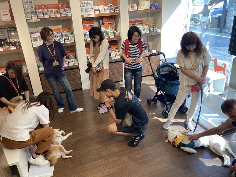 認定NPO法人アニマルレフュージ関西の求人・転職情報