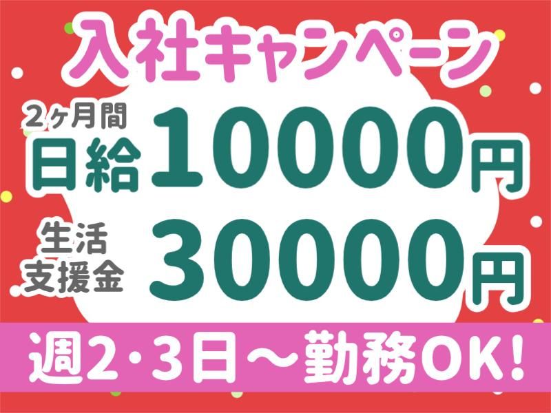 株式会社パルズパートナー