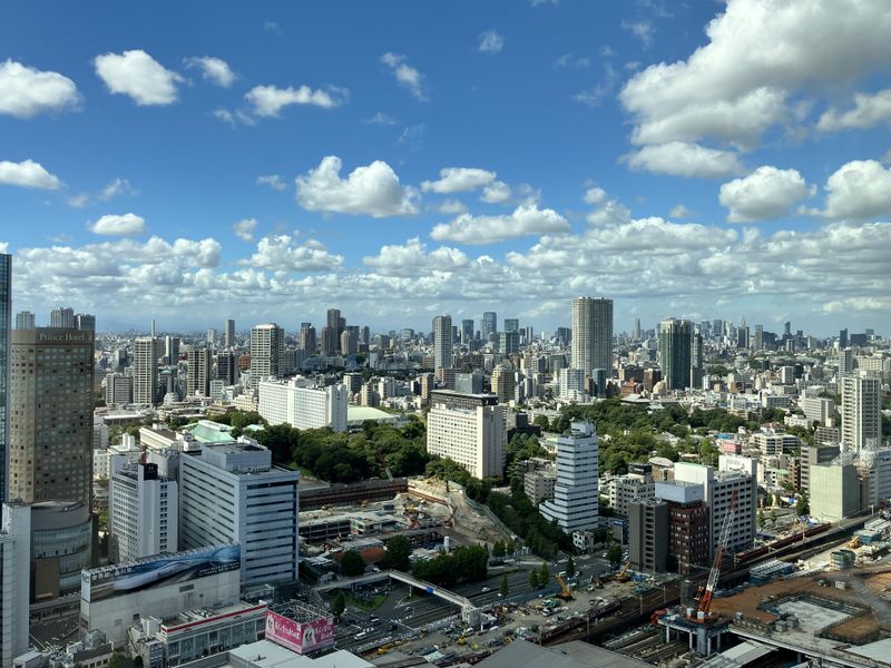 株式会社メティス・ビジネスソリューションズの求人・転職情報