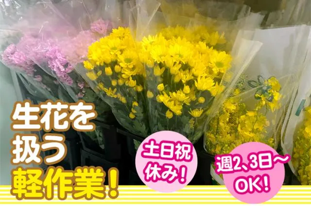 株式会社SHOEIクリエイトのアルバイト・バイト求人情報