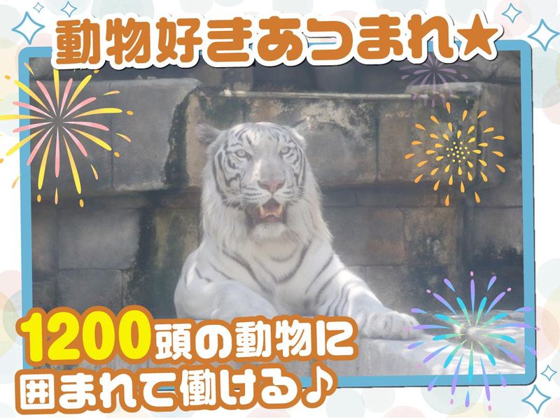 東武動物公園の求人情報