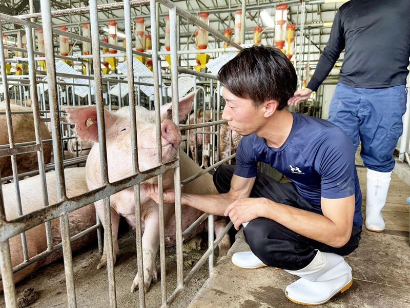 神内ファーム二十一株式会社の求人・転職情報