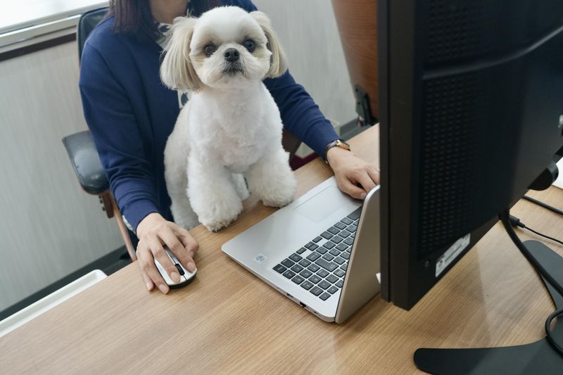 株式会社阿部養庵堂薬品　北千住オフィスのアルバイト・バイト求人情報-04