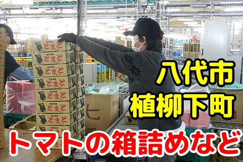 熊本県農業協同組合中央会のアルバイト・バイト求人情報-03