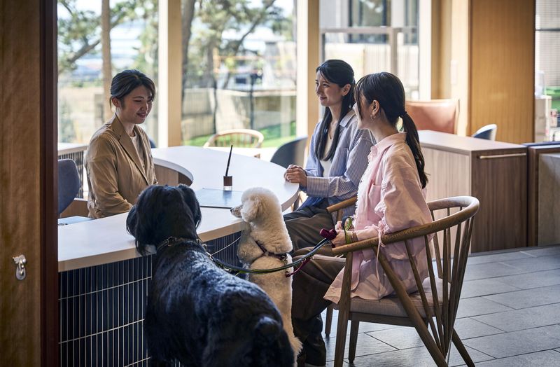 株式会社IHS Doggy’s Coast Oaraiのアルバイト・バイト求人情報-02