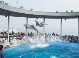 水族館「うみたまご」のアルバイト・バイト求人情報-02