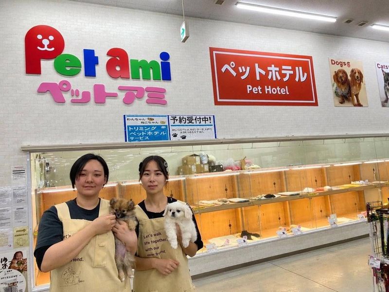 やじるしコネクション株式会社の求人・転職情報