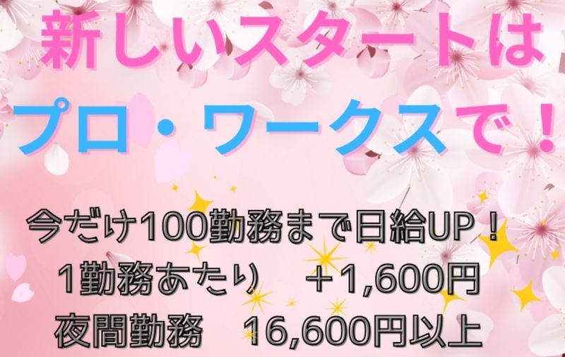 株式会社プロ・ワークス　生麦のアルバイト・バイト求人情報-03