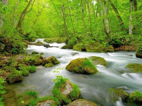 株式会社ヒューマニックのアルバイト・バイト求人情報-03