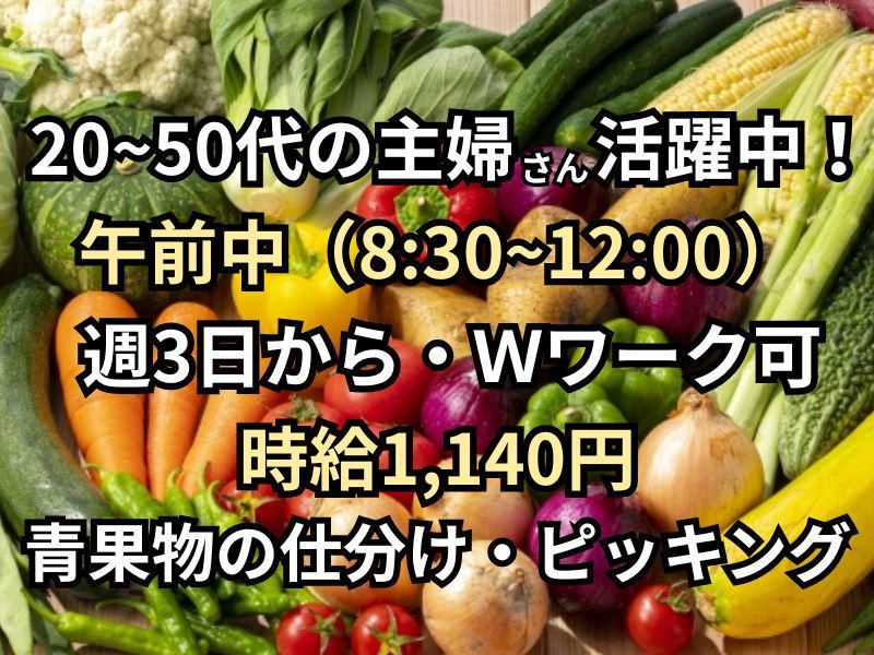 林青果株式会社のアルバイト・バイト求人情報-04
