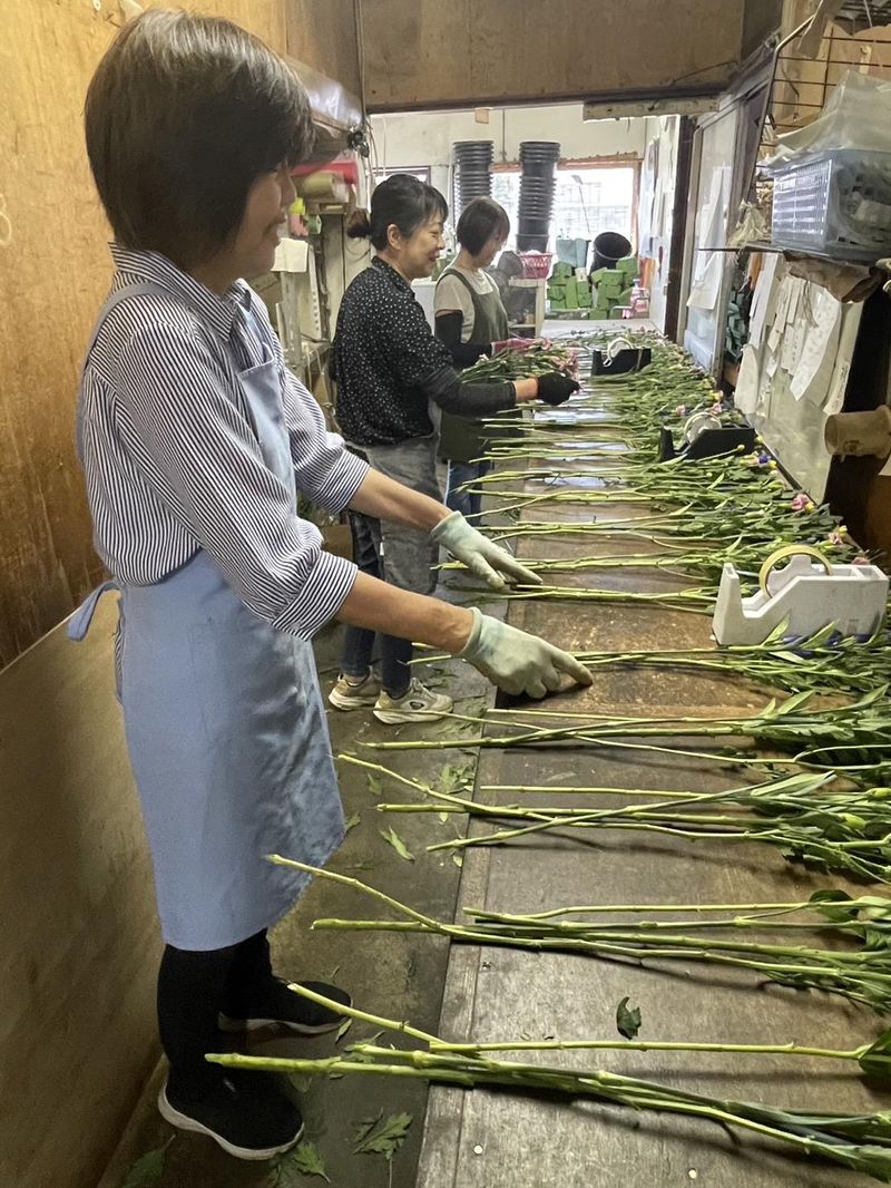 株式会社高橋生花