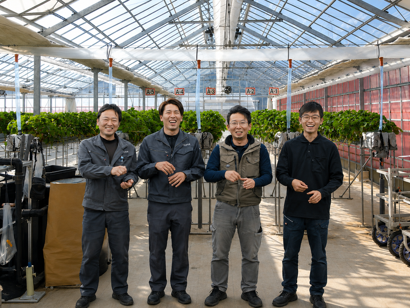  佐々木製茶株式会社の求人・転職情報