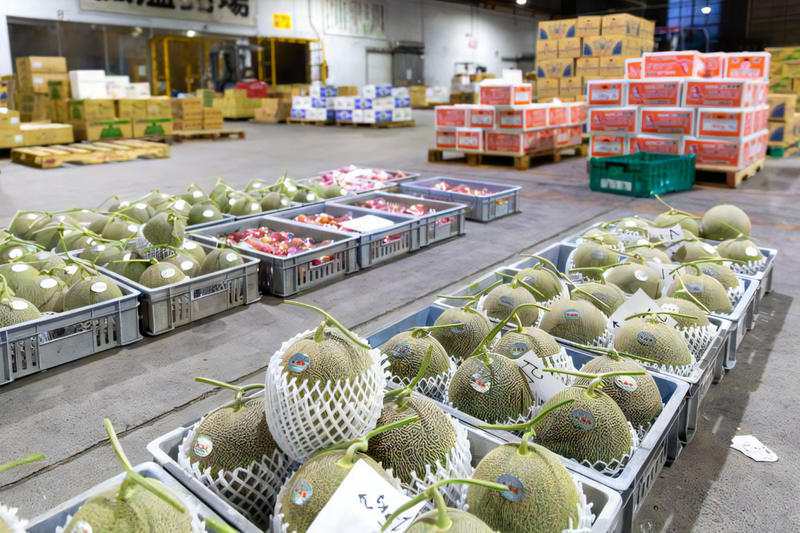 東亜青果株式会社-0002の求人・転職情報