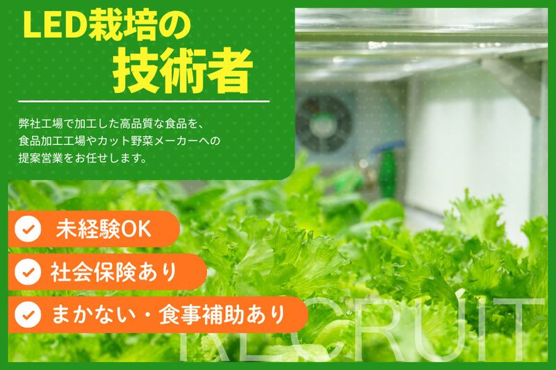 有限会社埼玉フーズの求人・転職情報