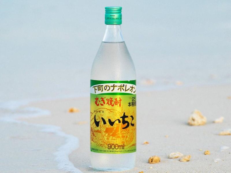 総合酒類メーカー|工場見学・若手社員交流会【大分本社開催】
