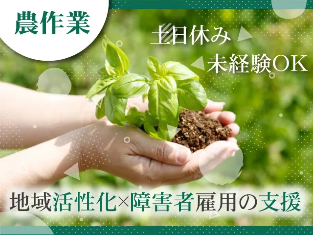 パーソルダイバース株式会社の求人・転職情報