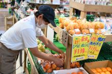 道の駅おがわまちの求人情報