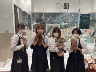 DCM重信店　動物の森のアルバイト・バイト求人情報-02