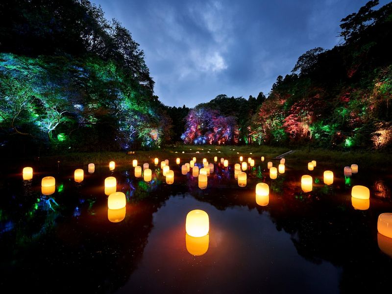 株式会社創輝の求人・転職情報