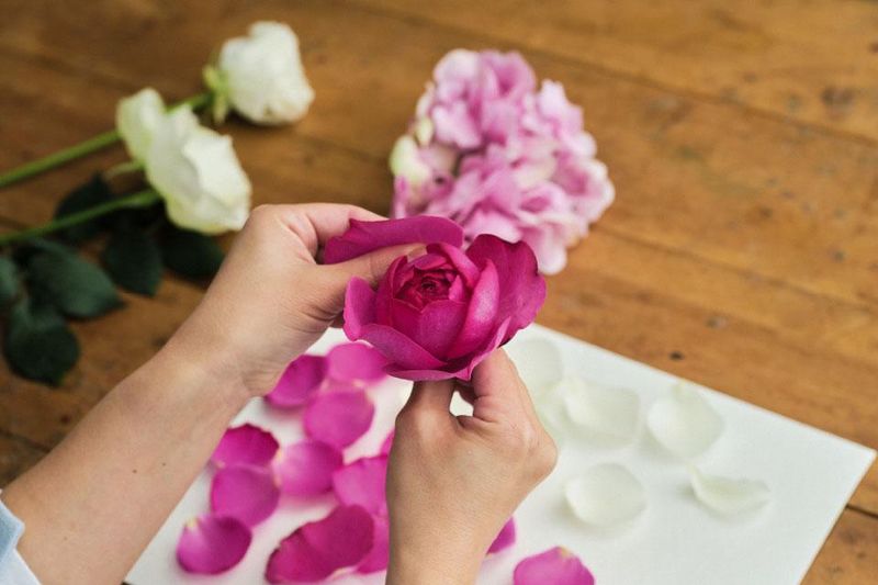 株式会社プーコニュの求人・転職情報