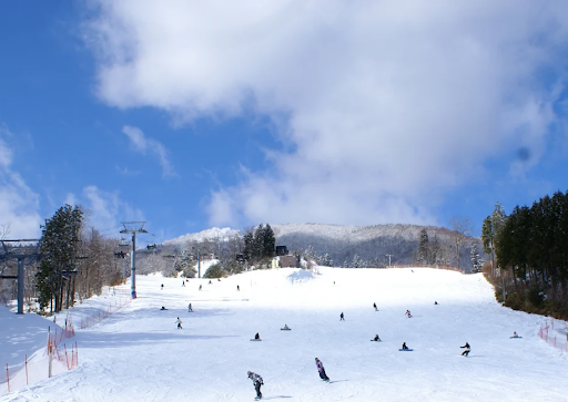 株式会社JR西日本キャリア_M301のアルバイト・バイト求人情報-02