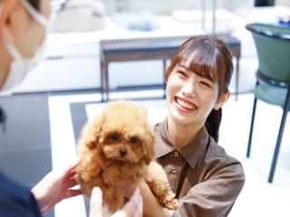 株式会社　コジマ-0016の求人・転職情報