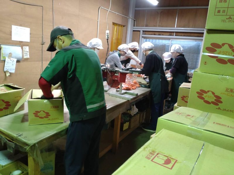 早川食品　茨木営業所の求人情報