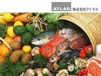 株式会社アトラス