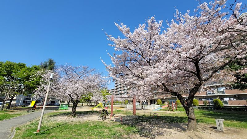 たんぽぽ･城東(放課後等デイサービス･生活介護)の求人4