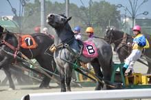 株式会社ばんえい競馬診療所　帯広競馬場のアルバイト・バイト求人情報-02