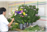 株式会社白雲社の求人・転職情報