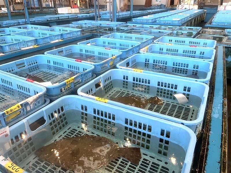 株式会社be-liefの求人・転職情報