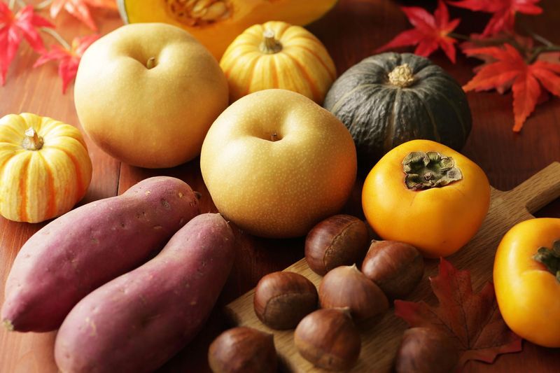 株式会社チェッカーサポート　文化堂ウィラ大井店のアルバイト・バイト求人情報-05