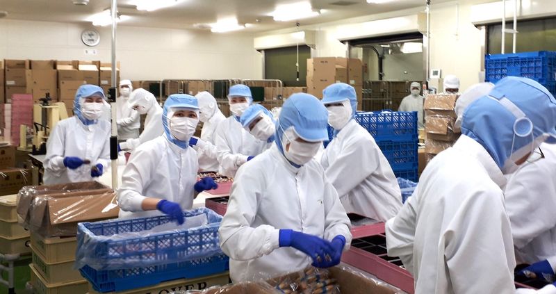 株式会社ヨックモッククレア　湘南アトリエのアルバイト・バイト求人情報-04