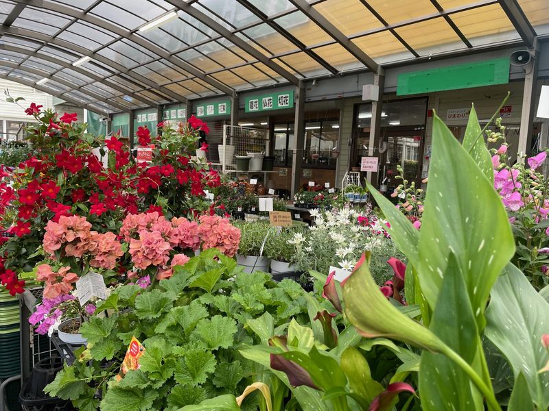 フラワーショップひまわり　加西店のアルバイト・バイト求人情報-02