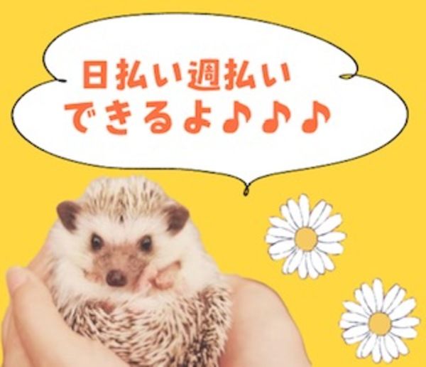 株式会社アイニードのアルバイト・バイト求人情報-05