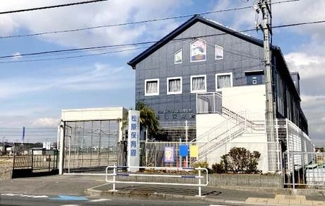 社会福祉法人立青福祉会 松原保育園の求人・転職情報