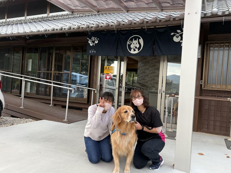 株式会社スグリの求人・転職情報