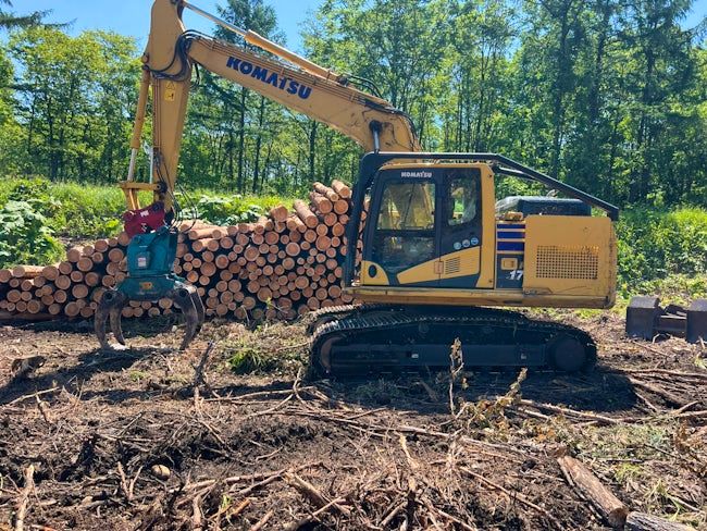 ＦＯＲＥＳＴ　ＷＩＮＧ株式会社の求人・転職情報