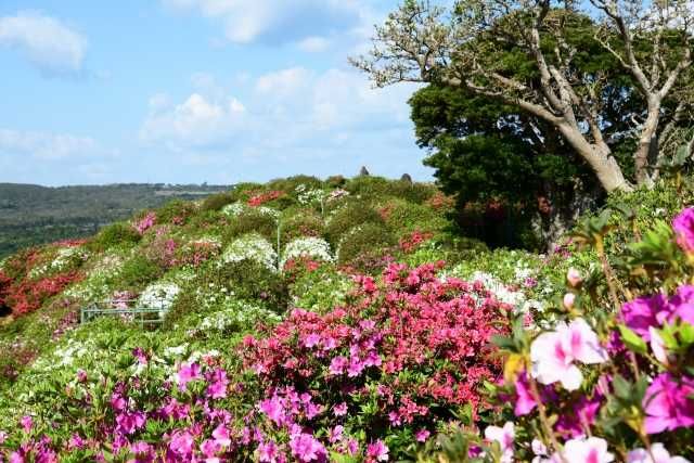 有限会社戸口工業の求人・転職情報