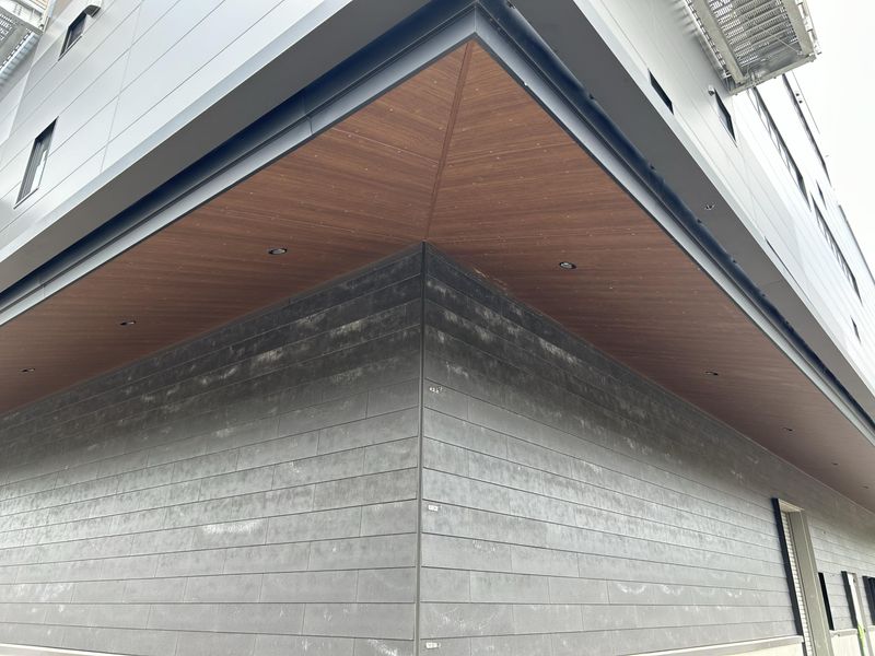 ナンヨウバイト ꓘꓘꓘꓘꓘꓘꓘꓘꓘꓘꓘꓘꓘꓘꓘꓘꓘꓘꓘꓘꓘꓘ