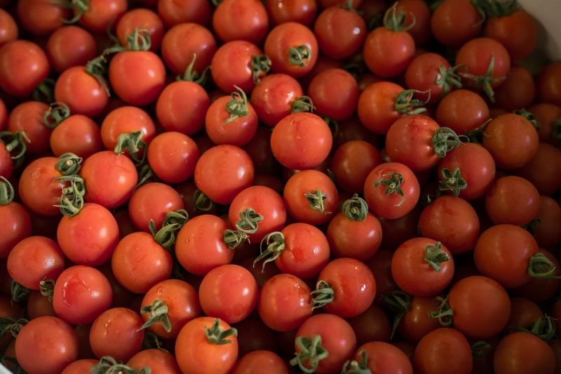 株式会社フレッシュ青果　関西大阪本店のアルバイト・バイト求人情報-05